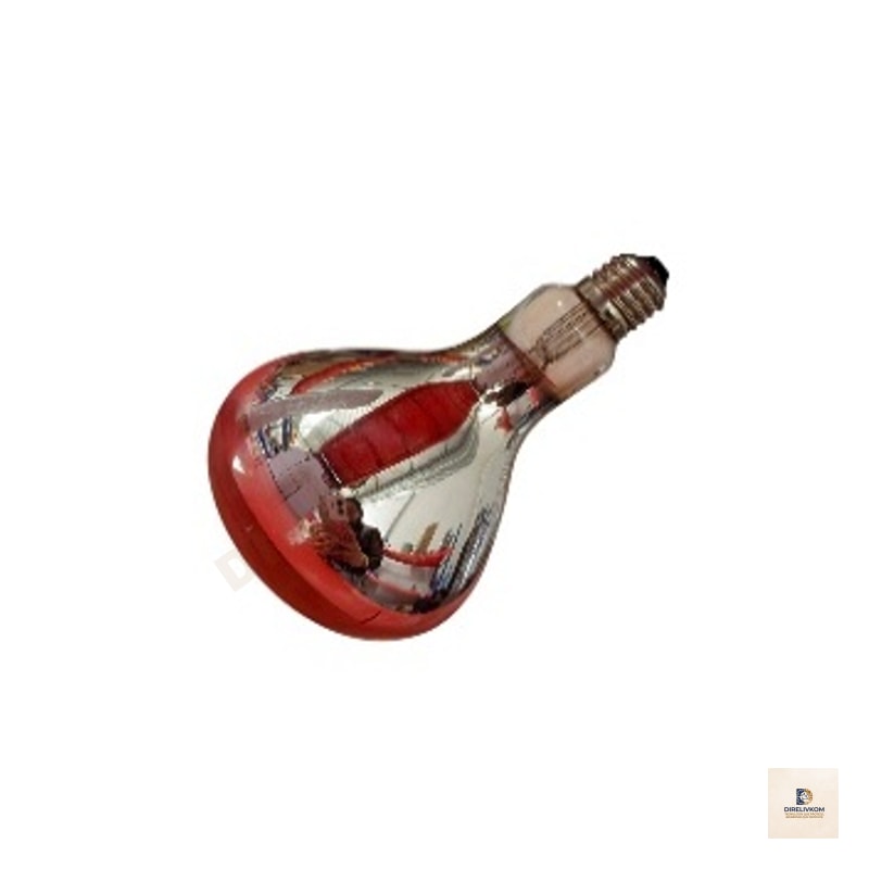 Foco Infrarrojo de 220V-250W