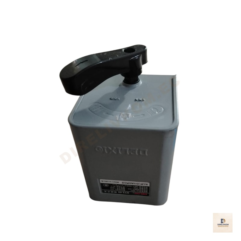 Interruptor Inversor Rotativo DELIXI HYV2-60 para Motores