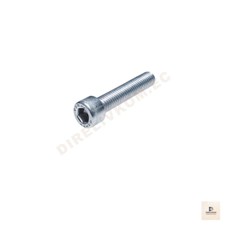 Perno allen galv 10*65