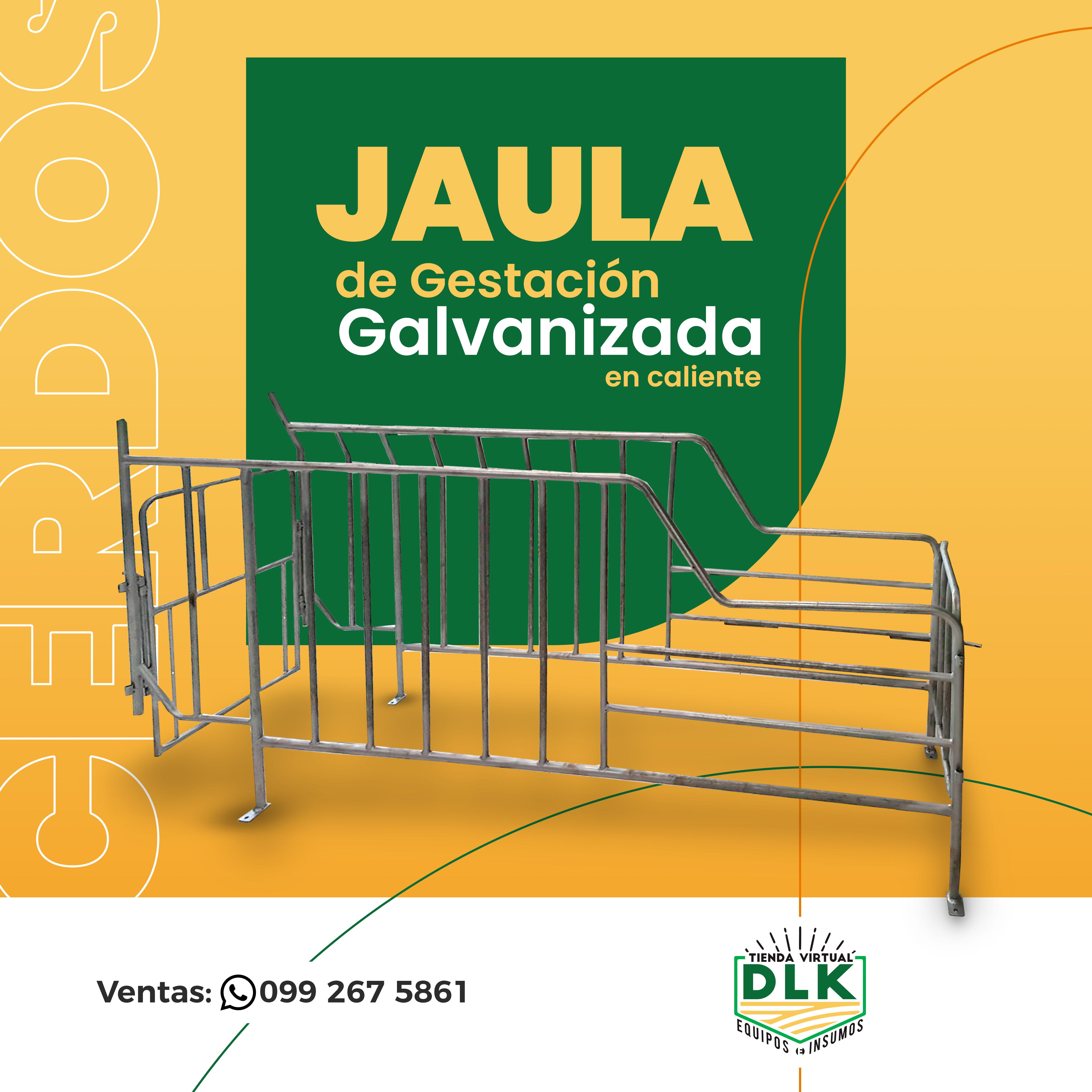 SET DE RECRIA (JAULA - PISO BMC)